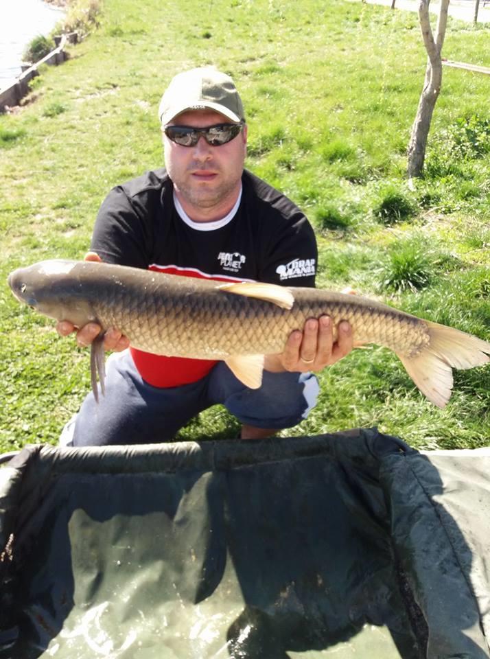 27 -28 Martie Hermes Peris 2017 - 1749920315063067127356672443734932400967546n.jpg